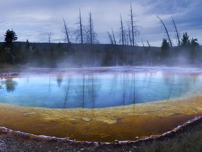 A hot spring in Yellowstone National Park