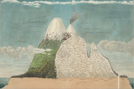 Scientific illustrations, Humboldt once wrote, should “speak to the senses without fatiguing the mind.” His famous illustration of Chimborazo volcano in Ecuador shows plant species living at different elevations.