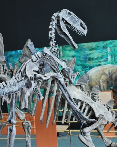 20110520083143chinasaurs-monolophosaurus-attack.jpg