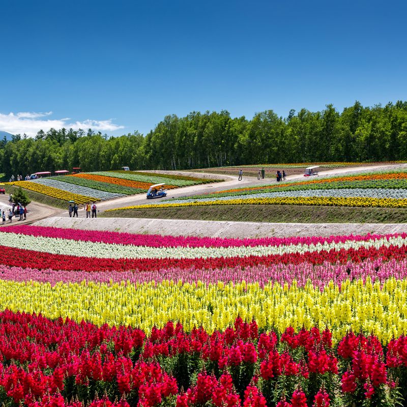 12 Mesmerizing Places to Watch Flowers Bloom | Travel| Smithsonian