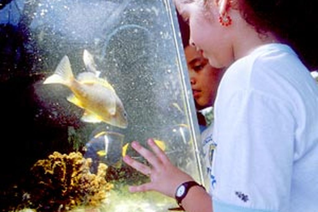 Smithsonian Tropical Research Institute