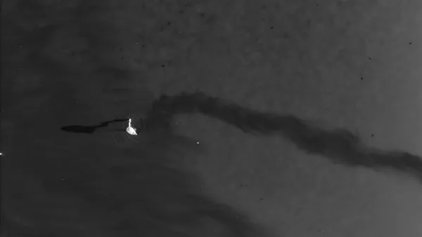 the shadow thumbnail