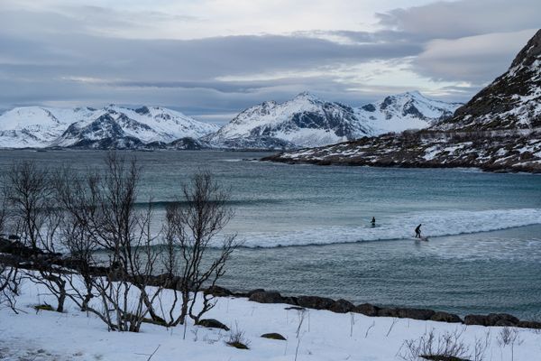 Winter Surfers in Lofoten, Norway thumbnail