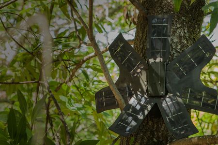 This hardware innovation will make it easier for conservationists to identify where illegal deforestation efforts are happening and stop them before the trees have been taken down.