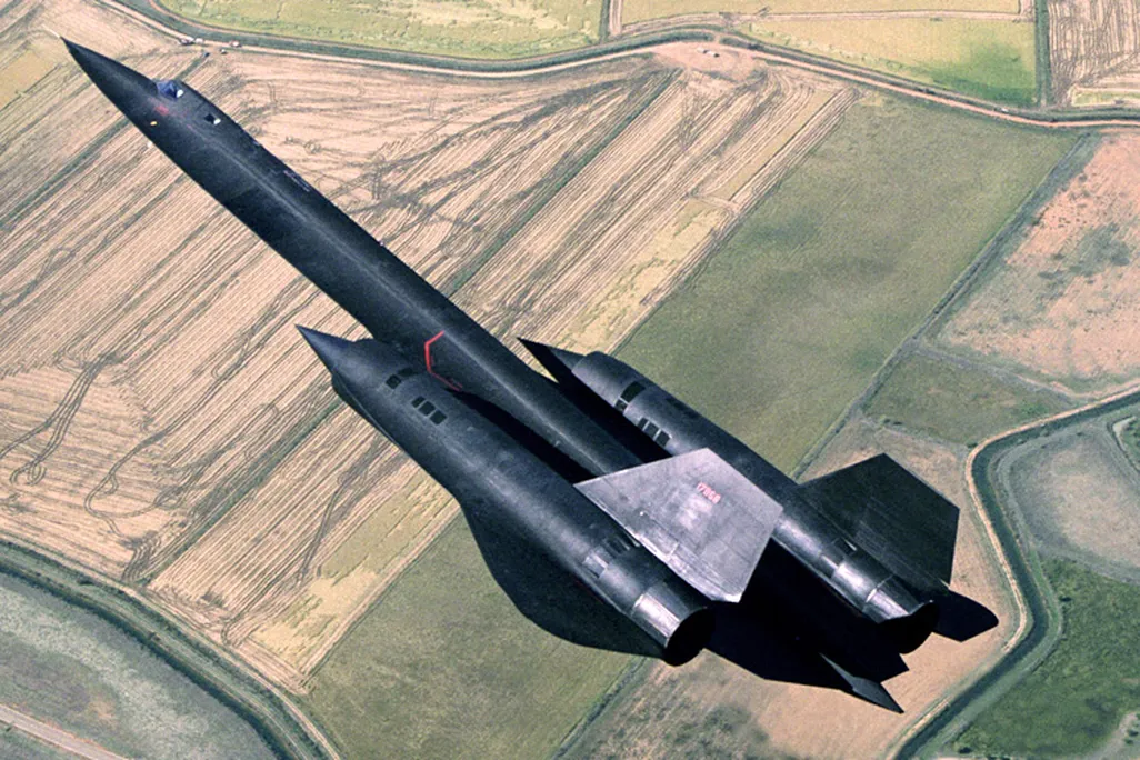 Blackbird opener.jpg