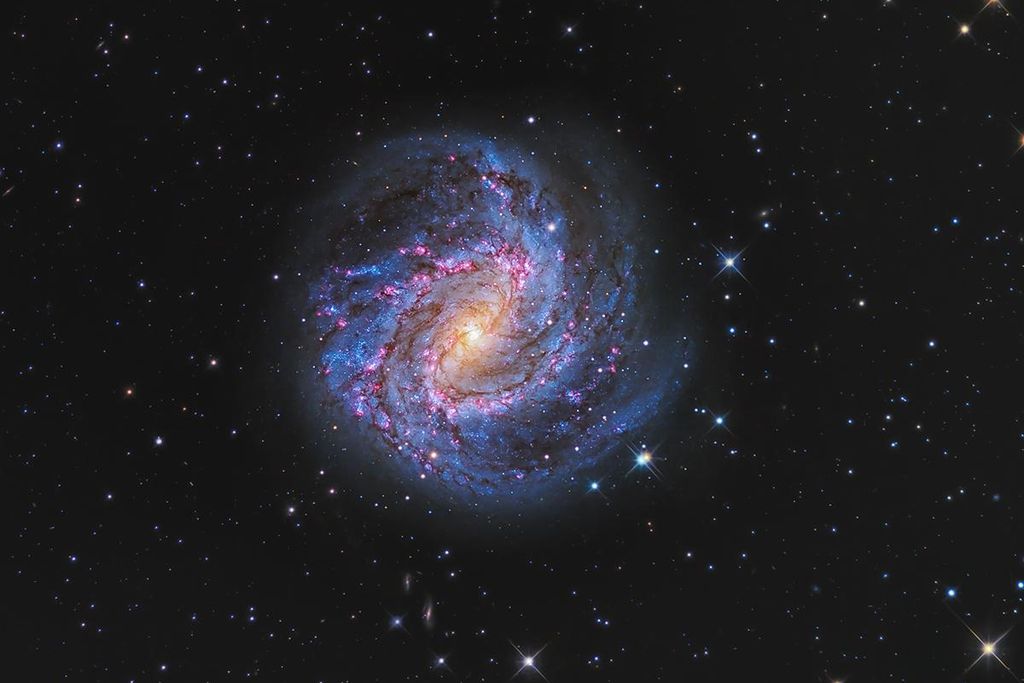 Hydra’s Pinwheel by Peter Ward - Astronomy Photographer of the Year 2022 Galaxies
