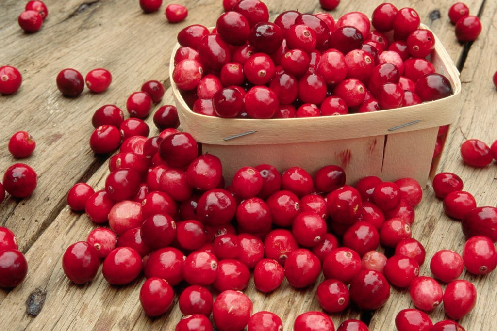 Cranberries