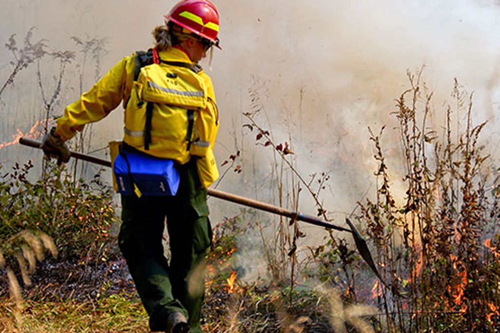 Wildland Firefighters
