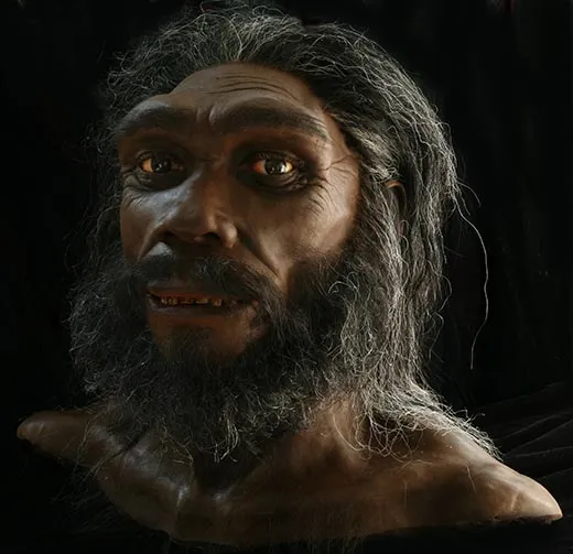 Homo heidelbergensis