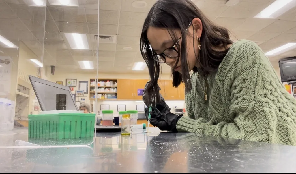 Angie Fogarty in the lab