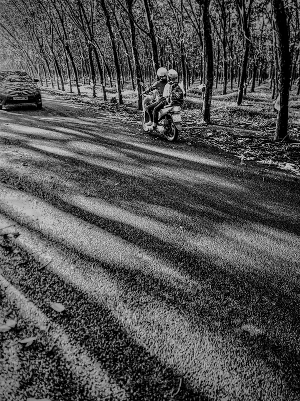 Afternoon Sunbeam. thumbnail