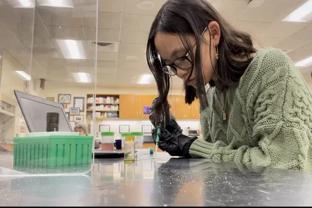 Angie Fogarty tested at least 100 different versions of her sensor before finding the perfect formula.