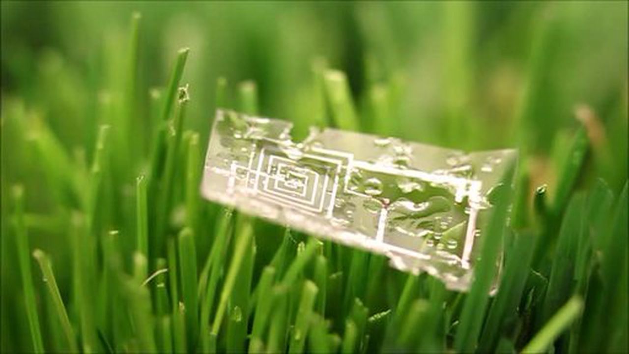 Preview thumbnail for New Type of Electronic Circuit Dissolves in Water