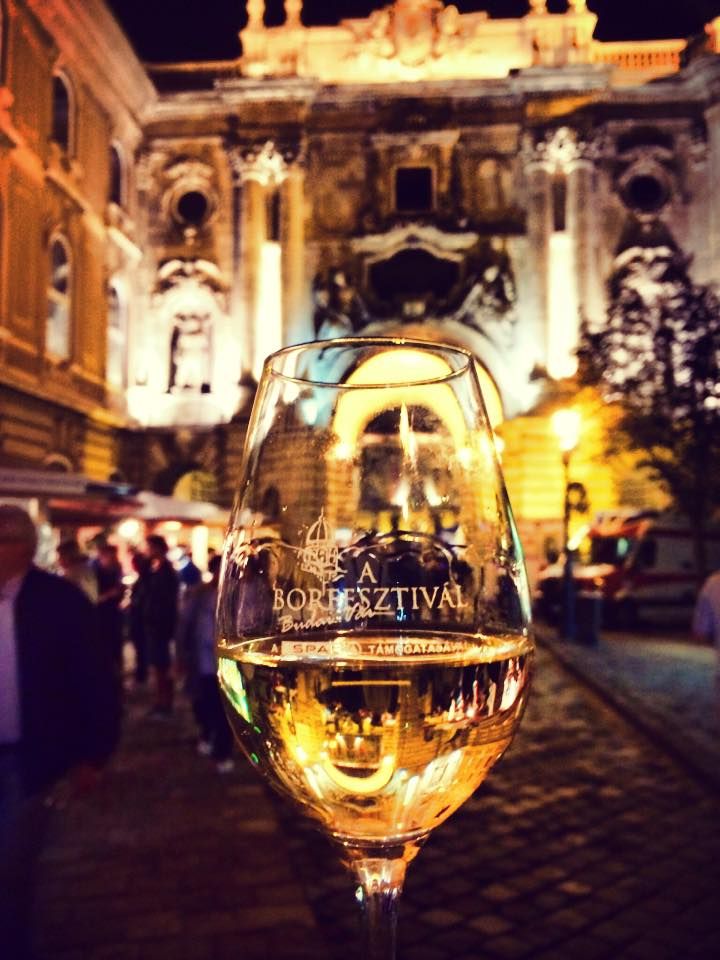 Wine Festival in Budapest Smithsonian Photo Contest Smithsonian Magazine