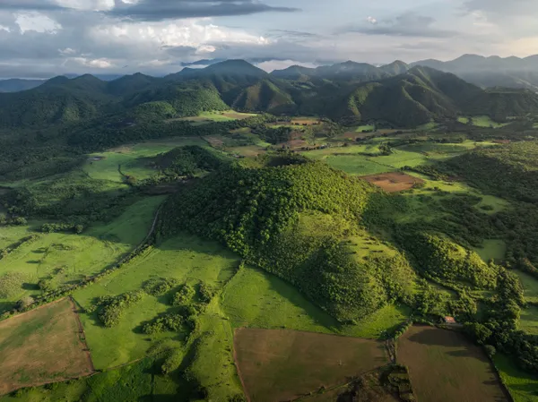 Volcanic Avocado Fields thumbnail