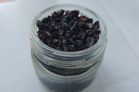 Dried cohineal insects from the author's study