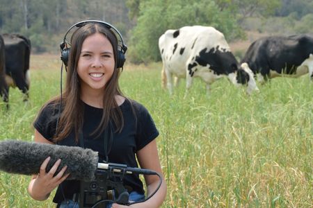Researcher Alexandra Green, recording cows 