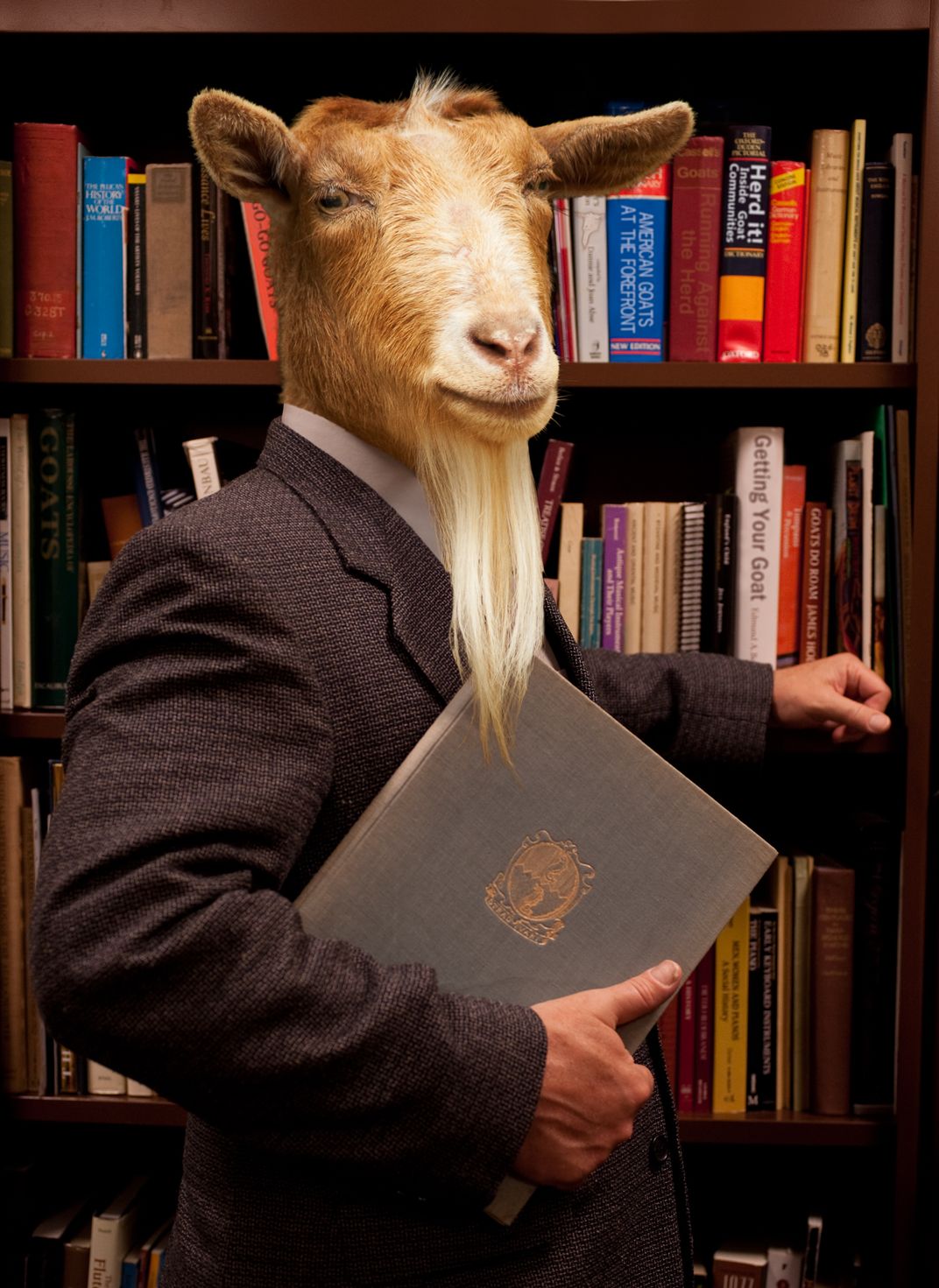 The Old Goat Professor of Goat Studies at the American Animal University  An image created for my mocumentary website on American higher education., Smithsonian Photo Contest