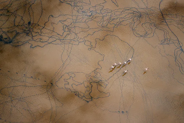 Flight Over an Ancient Map thumbnail