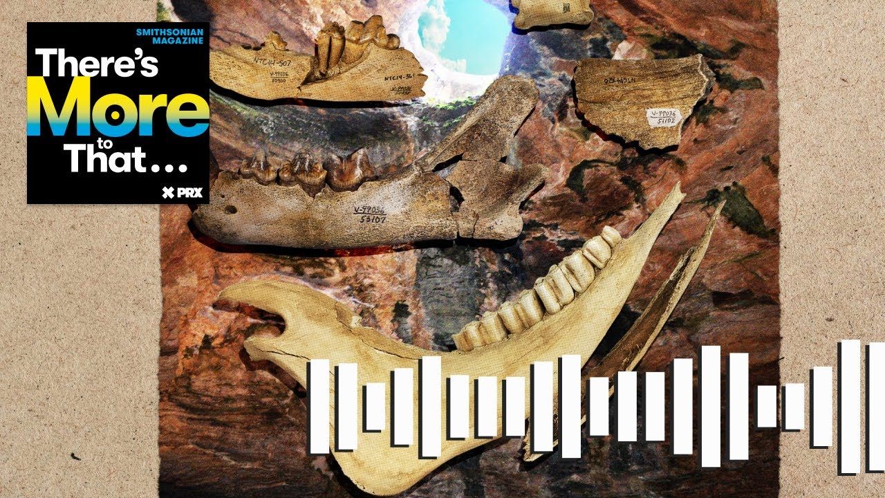 Preview thumbnail for The Prehistoric Cave That Trapped and Entombed Animals for Millennia