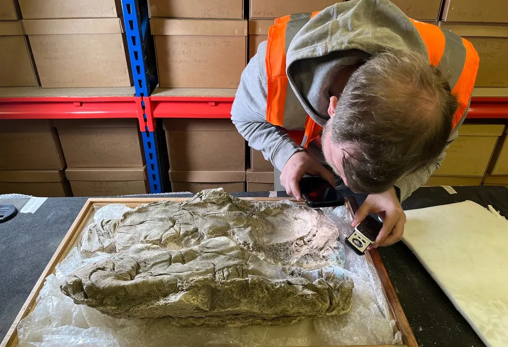 Man examines plaster with imprints