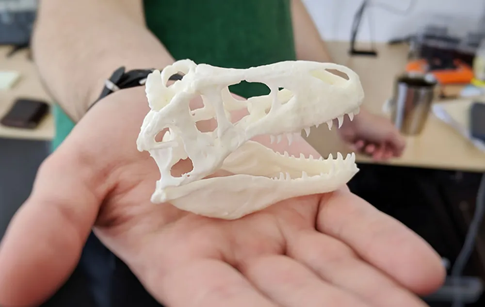 3-D T. rex skull