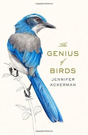 Preview thumbnail for The Genius of Birds