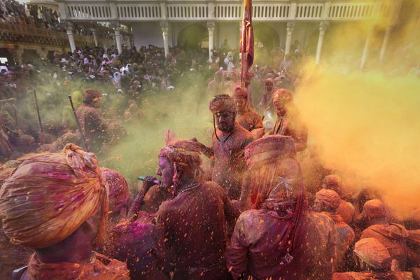 Riot of colours thumbnail