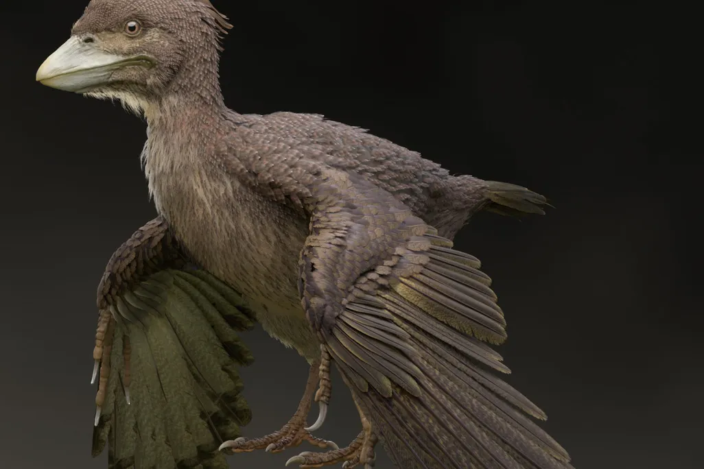 Bird Dino