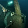 Divers Discover Sunken Warship Torpedoed by Germany in World War I icon