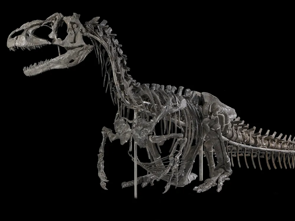 NMNH-Exhibits-DT-2017-00295 (1) (1).jpg