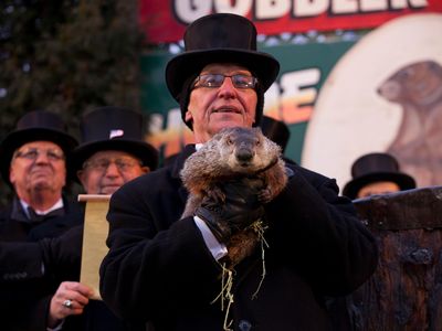 The President, one of only three Inner Circle members who are allowed to handle Punxsutawney Phil, holds him aloft during ceremonies in 2013. 