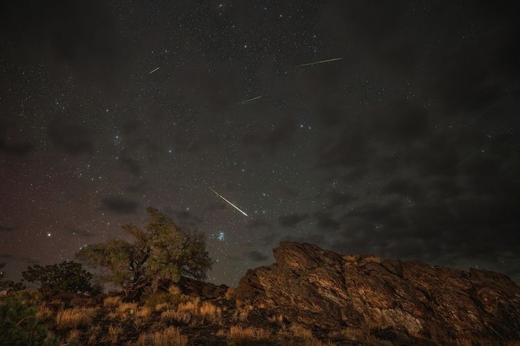 Meteors from the Perseids streaking&nbsp;above Inyo National Forest in Bishop, California, in 2024.