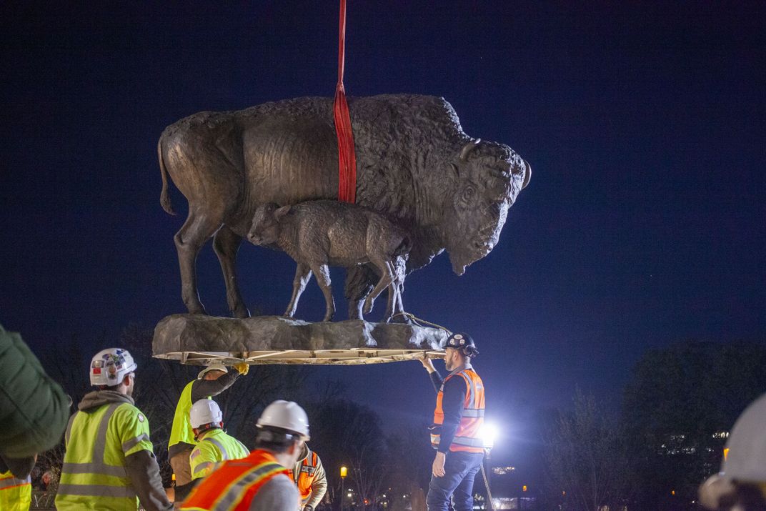 See the 2,500-Pound Bronze Bison as They Arrive at Their New, Permanent Place at the Smithsonian’s National Museum of Natural History