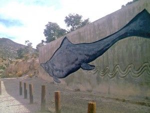 20110520083130ichtyosaur-mural-300x225.jpg
