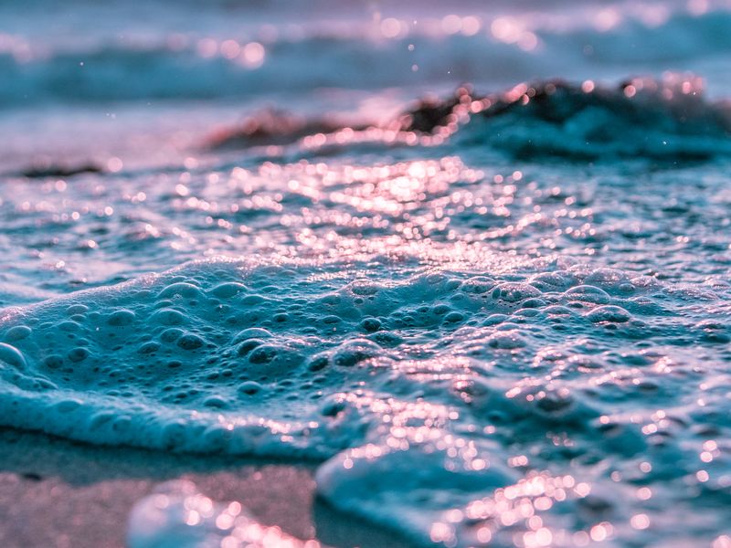 Foamy Waves in Venice Beach Smithsonian Photo Contest Smithsonian