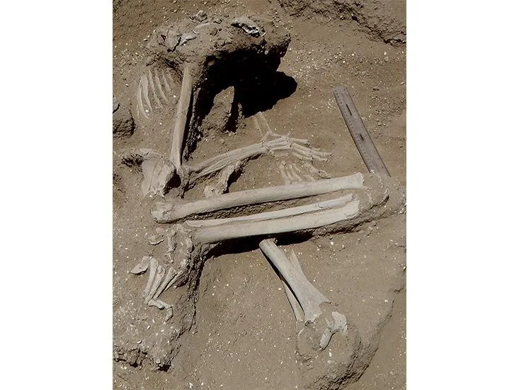 An Ancient, Brutal Massacre May Be the Earliest Evidence of War