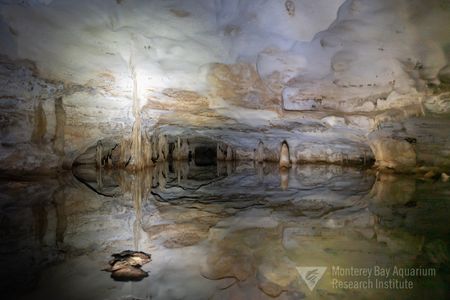 Staring into the mouth of flooded cave passages on the islands of the Turks and Caicos. Hidden cave pools are illuminated by dive lights and photo flash. (Joost Daniels, Monterey Bay Aquarium Research Institute) 