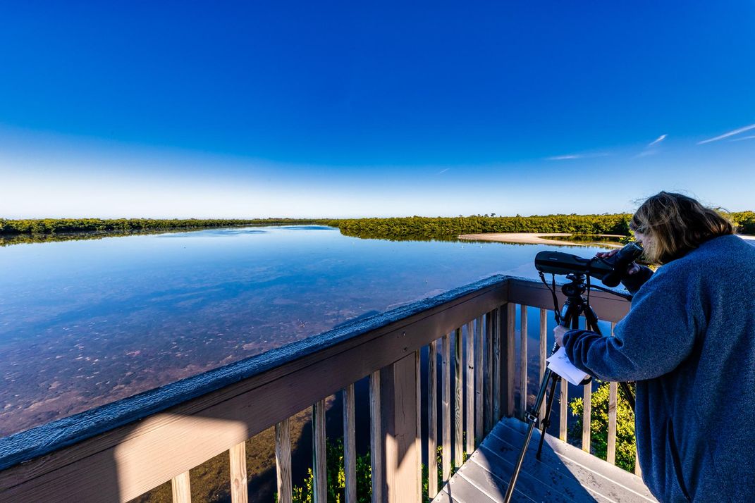 Why The Beaches of Fort Myers & Sanibel Is a Wildlife Adventurer's Dream Destination