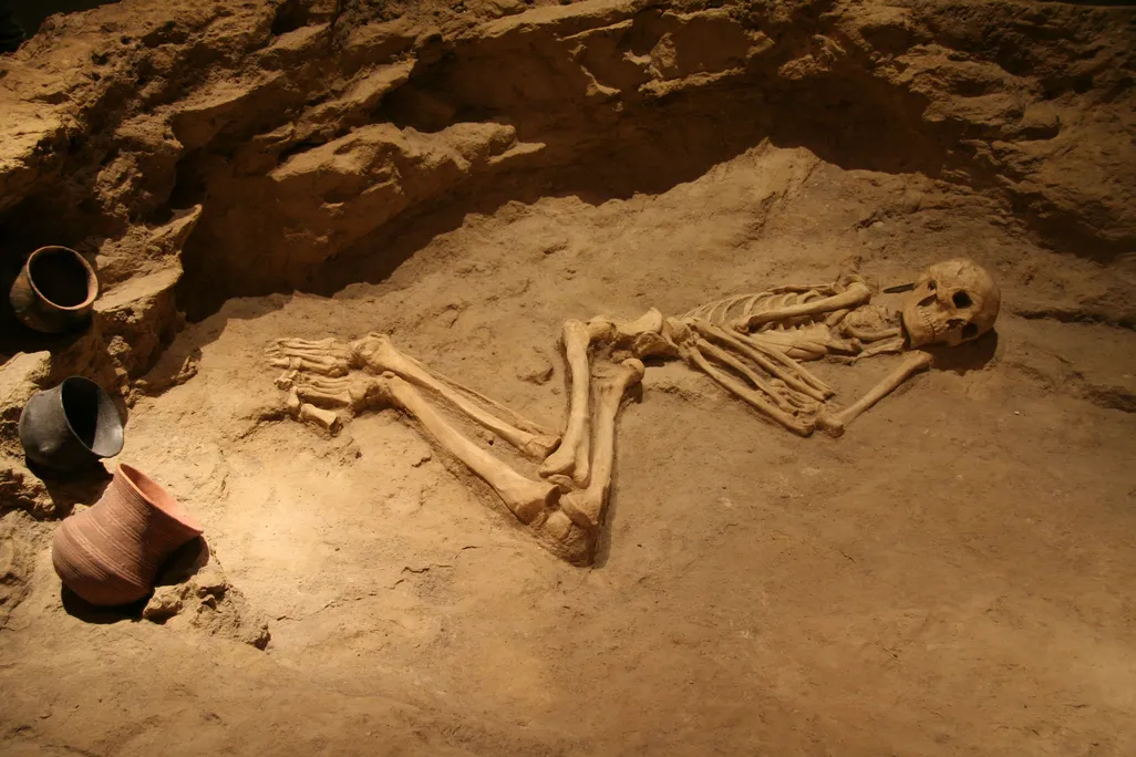 Bones