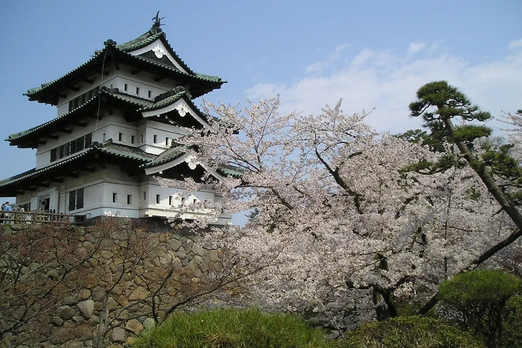 Hirosaki Castle with Cherry Blossoms