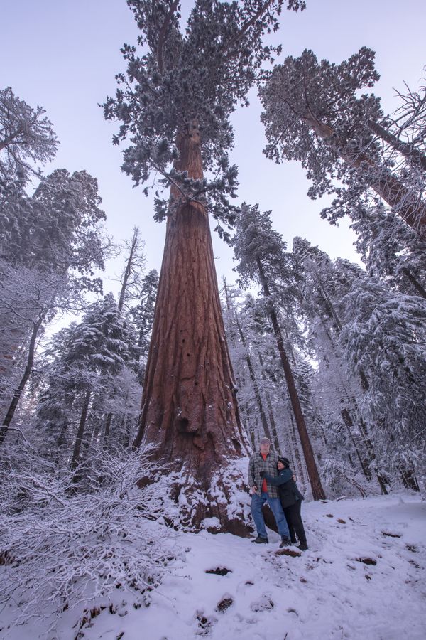Sequoia National Park thumbnail