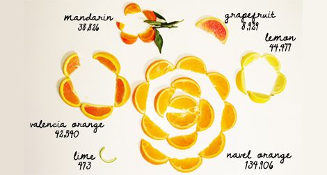 Visualization of California's statewide citrus production volumes.