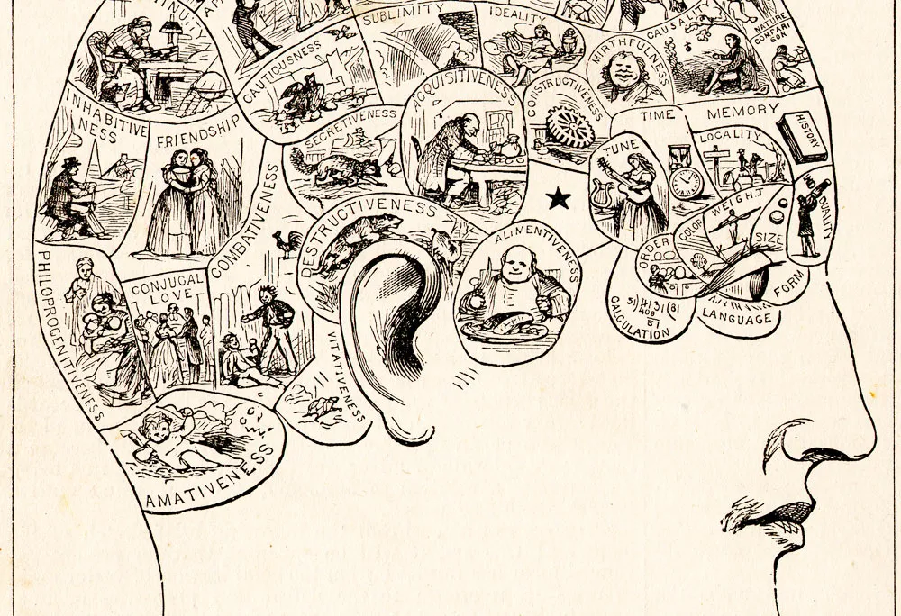 A typical 19th-century phrenology chart