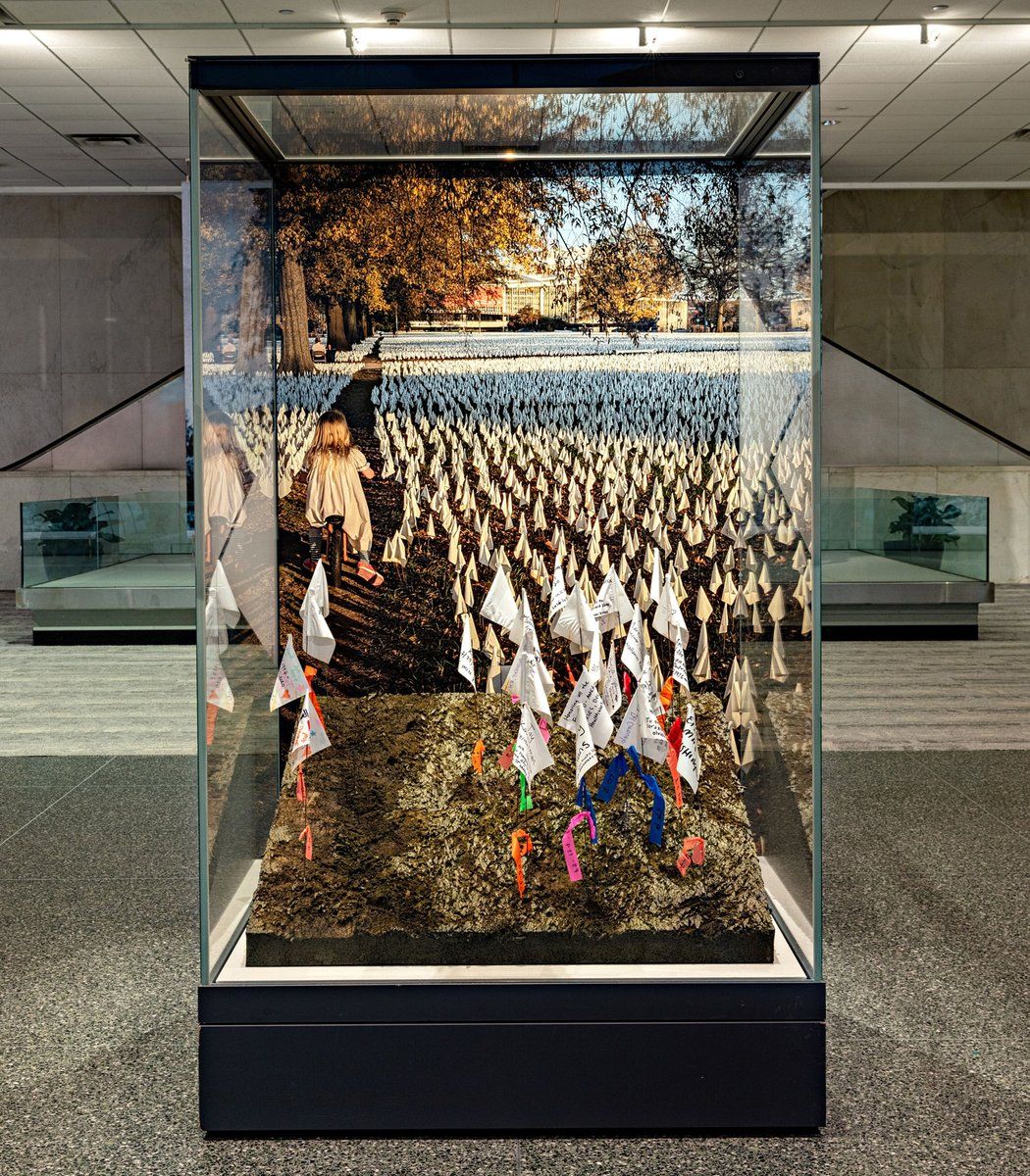 image of a museum display with white flags in a glass box