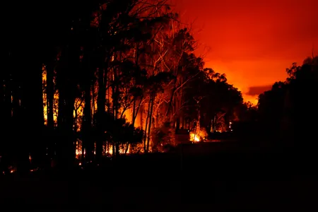 Thousands were evacuated this week as bushfires continue to blaze across East Gippsland in Australia.