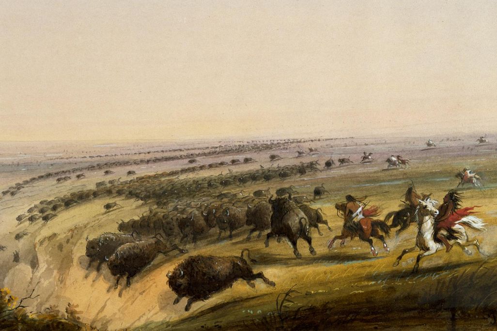 Buffalo Jump