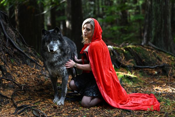 Little Red Riding Hood and her Wolf thumbnail
