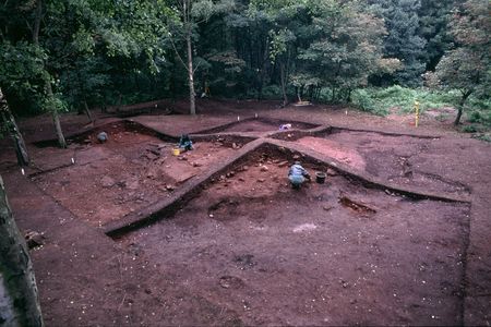 Viking burial mound at Heath Wood being excavated