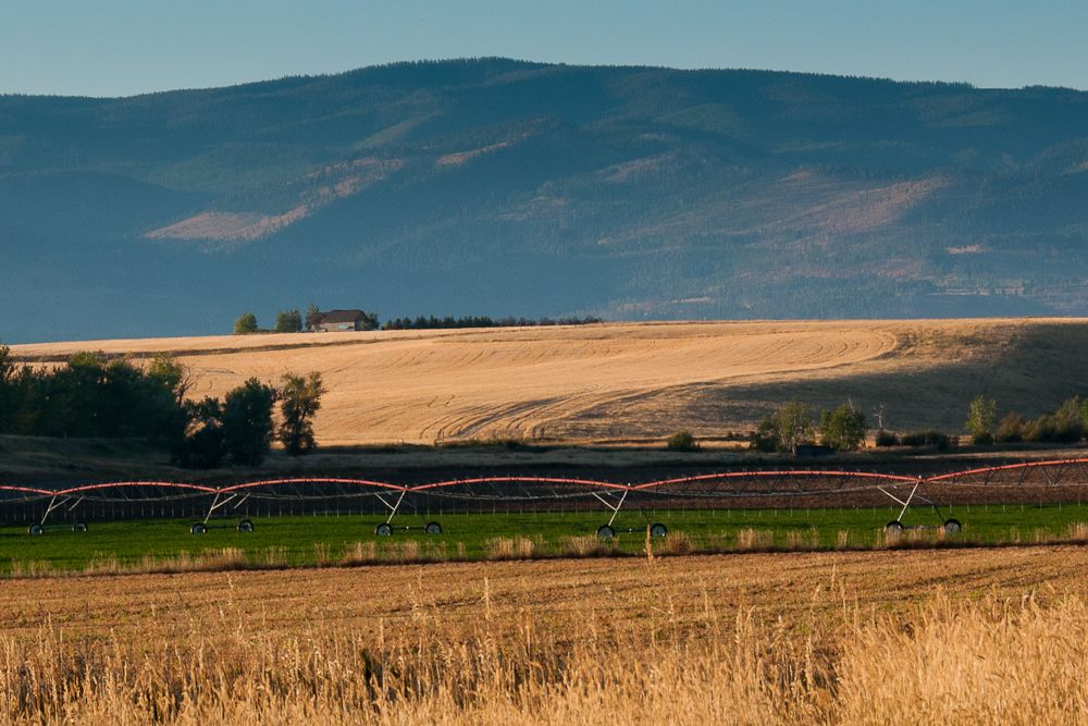 Bozeman hayfield, Summer Day, Watering the crops, beautiful morning